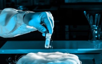 Growing Your Family With Help From a Reproductive Endocrinologist Aliso Viejo CA